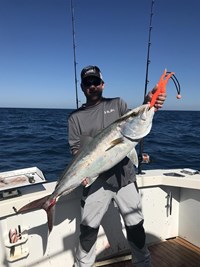 Big Pink Salmon Caught in Milwaukee