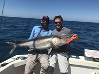 Pink Salmon caught in Milwaukee Ready for the dinner table