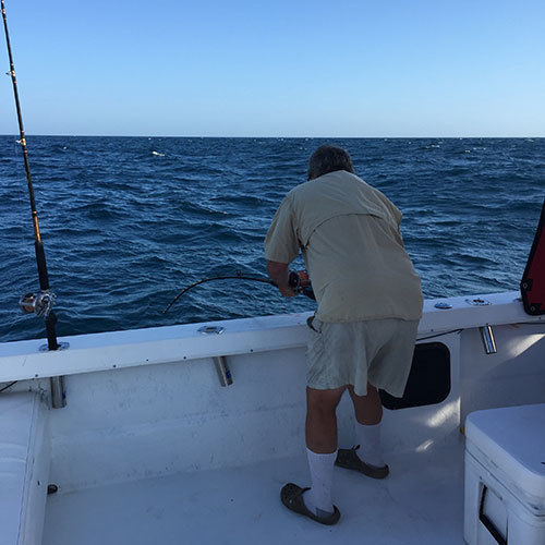 Pink Salmon Fight Pink Salmon Fight on Lake Michigan Charter in Milwaukee
