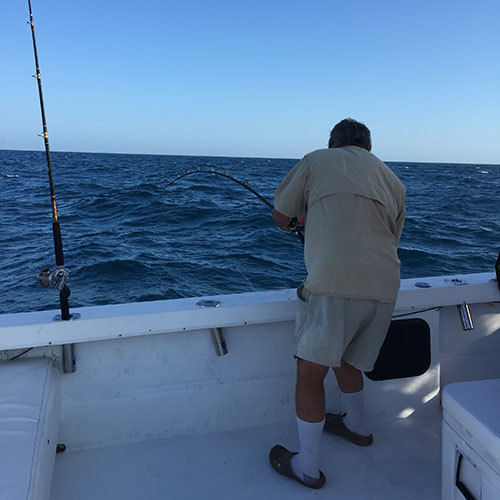 Pink Salmon Fight Pink Salmon Fight on Milwaukee Lake Michigan Charter