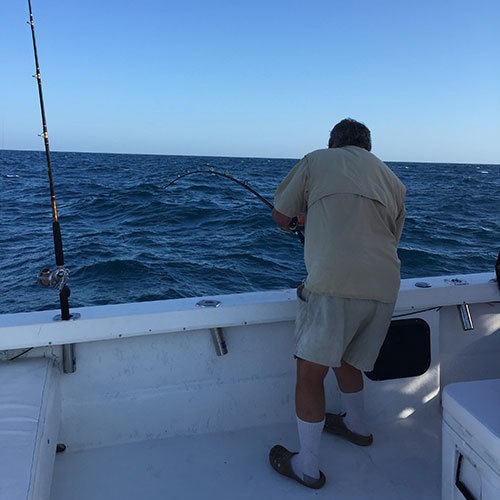 Pink Salmon Fight on Milwaukee Lake Michigan Charter