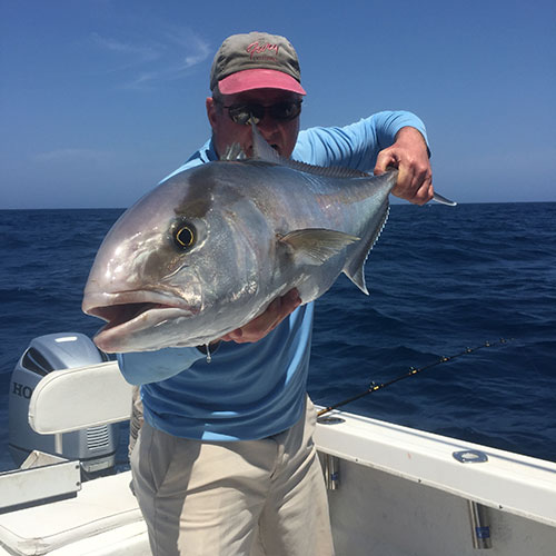 Pink Salmon Money Shot Aggressive Pink Salmon Hooked on Crabby's Lake Michigan Charter in Milwaukee