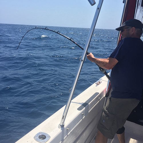Pink Salmon Bends Fishing Rod on Great Lakes Fishing Charter