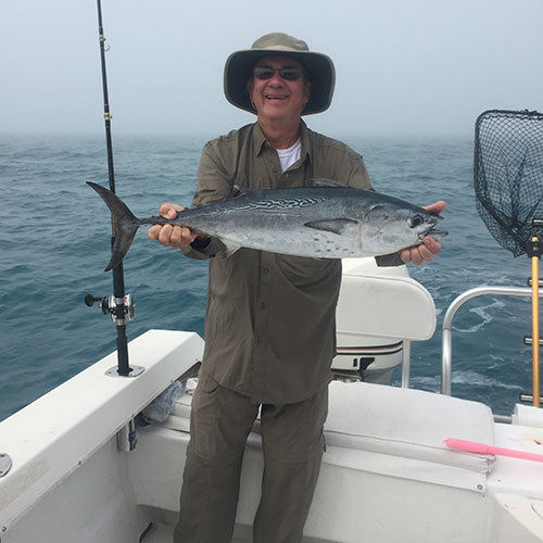 Pink Salmon Beautiful Pink Salmon Caught on a Lake Michigan Charter