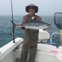 Beautiful Pink Salmon Caught on a Lake Michigan Charter