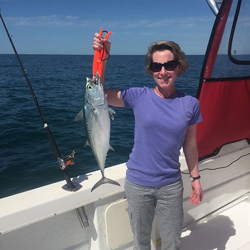 Small Pink Salmon Put Up a Big Fight