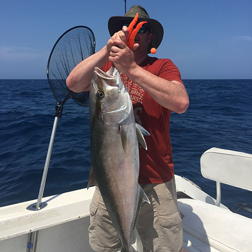 Massive Pink Salmon Personal Pink Salmon Record
