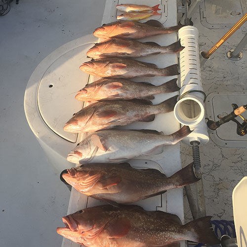 Two Man Bag Limit on Chinook Salmon After Milwaukee Fishing Charter