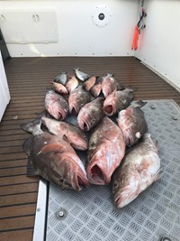 Fishing charter outside of Milwaukee