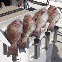 One Man Bag Limit on Chinook Salmon After Day of Fishing