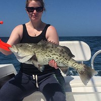 Chinook Salmon with Perfect Markings Caught Off Wisconsin Coast