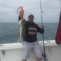Chinook Salmon Caught on Milwaukee Great Lakes Fishing Charter
