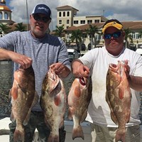 Salmon & Trout Caught on Milwaukee Great Lakes Charter