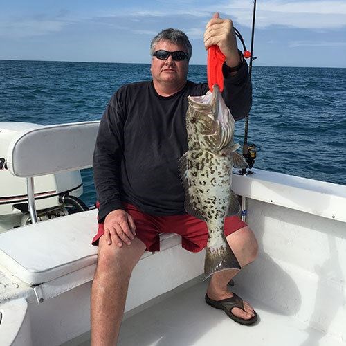 Chinook Salmon with Stunning Markings Caught on Milwaukee Charter