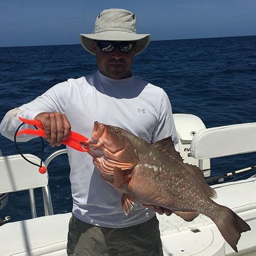Chinook Salmon Caught on Milwaukee Great Lakes Fishing Charter