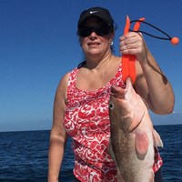 Beautiful Chinook Salmon Hooked on Milwaukee Great Lakes Charter