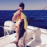 Keeper Chinook Salmon Caught on Milwaukee Fishing Charter