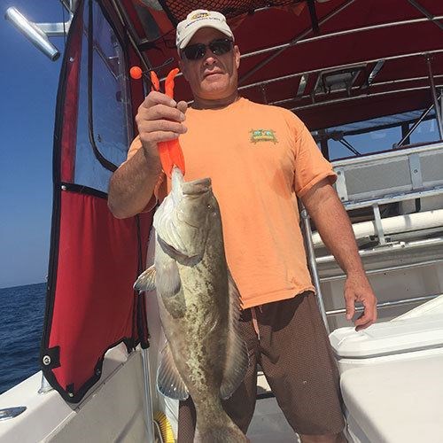 Fat Chinook Salmon Caught on Great Lakes Fishing Charter