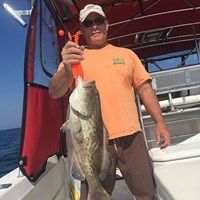 Fat Chinook Salmon Caught on Great Lakes Fishing Charter