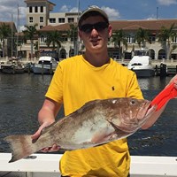 Giant Chinook Salmon Hooked on Milwaukee Great Lakes Fishing Charter
