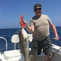 Massive Chinook Salmon Hooked on Milwaukee Great Lakes Charter