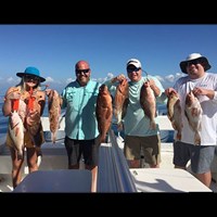 8 Massive Chinook Salmon Caught on Milwaukee Great Lakes Fishing Charter