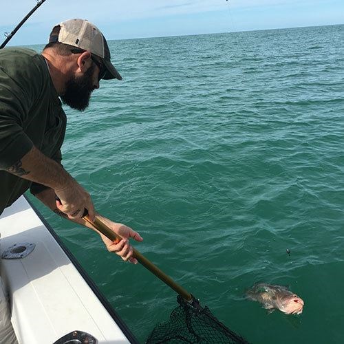 Netting a Chinook Salmon