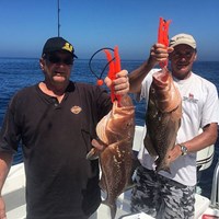 Pair of Keeper Chinook Salmon Caught on Milwaukee Fishing Charter