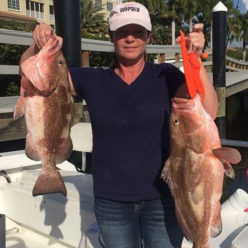 Pair of Beautiful Chinook Salmon Caught on Milwaukee Great Lakes Charter