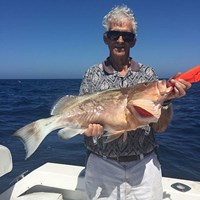 Great Chinook Salmon Caught on  Milwaukee Fishing Charter