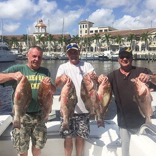 Six Chinook Salmon Caught on Milwaukee Great Lakes Fishing Charter