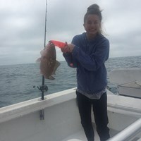 Small Chinook Salmon Caught on Milwaukee Great Lakes Charter