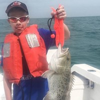 Young Chinook Salmon Caught on Milwaukee Great Lakes Fishing Charter