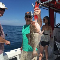 Healthy Young Chinook Salmon Caught on Milwaukee Fishing Charter