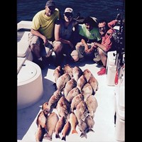 Haul of 15 Chinook Salmon Caught During Milwaukee Great Lakes Charter