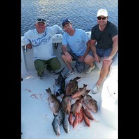 Pink Salmon Chinook Salmon and Lake Trout Haul