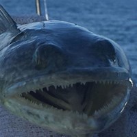Fish Caught on Milwaukee Charter
