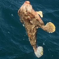 Fish Hooked on Milwaukee Fishing Charter
