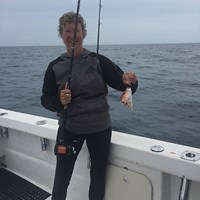 Salmon Eats Lake Trout