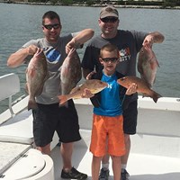 Chinook Salmon and Lake Trout Caught on Milwaukee Fishing Charter