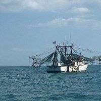 Fishing Trawler Spotted During Fishing Charter