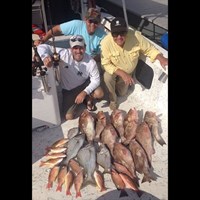 Bringing Home Chinook Salmon Lake Trout and Brown Trout