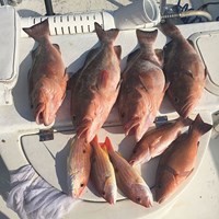 One Man Bag Limit on Chinook Salmon Caught on Milwaukee Charter