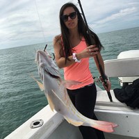 Fish Caught on Milwaukee Great Lakes Fishign Charter
