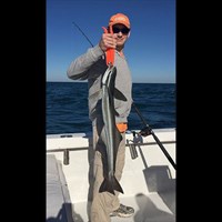 Huge Fish Caught in Milwaukee