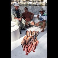 Haul of Lake Trout and Chinook Salmon Caught on Milwaukee Charter