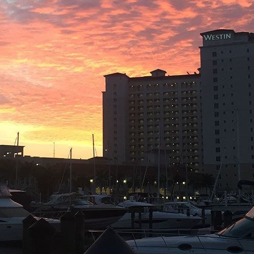 Sun Rising Near the Marina