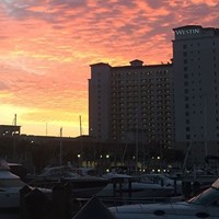 Sun Rising Near the Marina