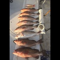 Two Man Bag Limit on Chinook Salmon in Milwaukee