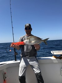 Catch Brown Trout in Wisconsin